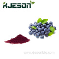 Organic Blueberry Fruit Powder